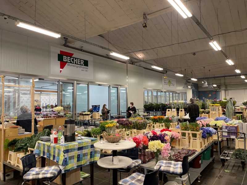 176994424 1304609345902970422 n 423