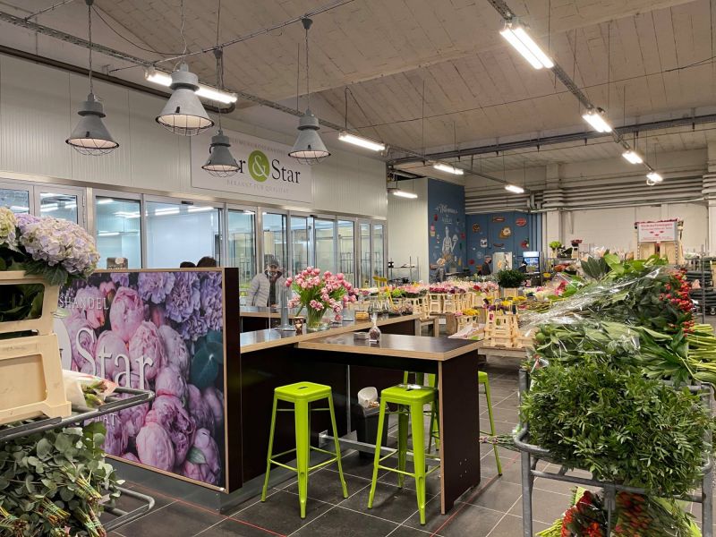 177364712 1710308736120583726 n 424