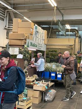 22a5c196 e8b8 b92b c7da0aba71fd 448