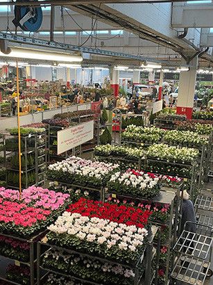 37383701d 416d a1b2 22ca081679b0 457