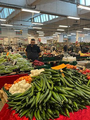 3d723b7b aa9c 8f85 1a15599d0595 446