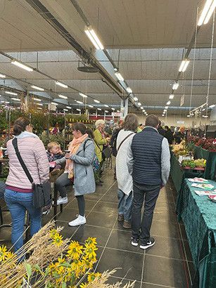 4513637c d401ede a435 f9974704813556