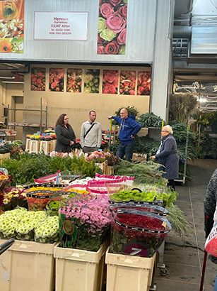 618c6278a 4724 a982 b9b04c190d11 453