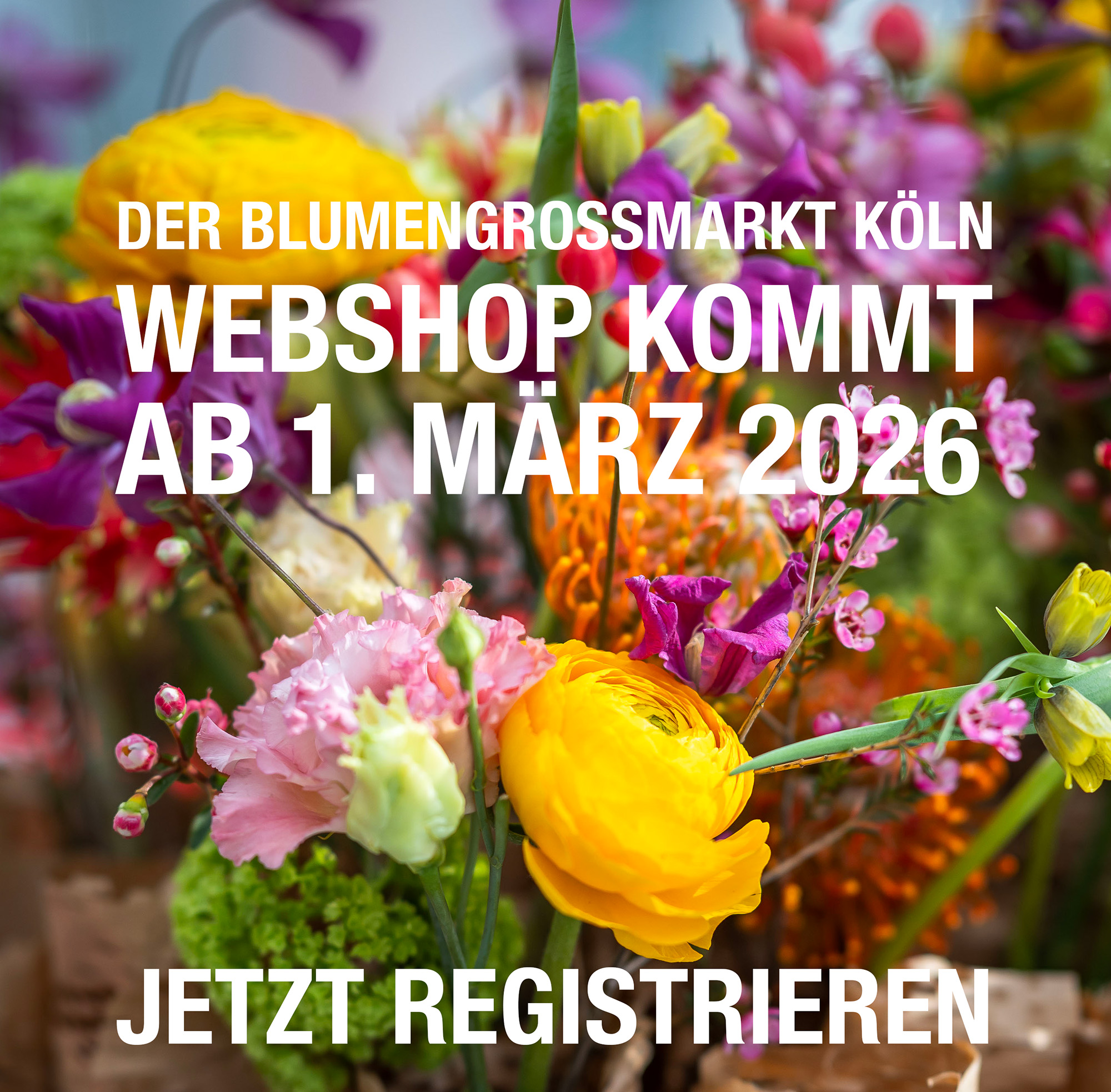 webshop